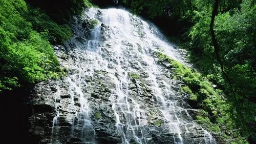 高效高质量